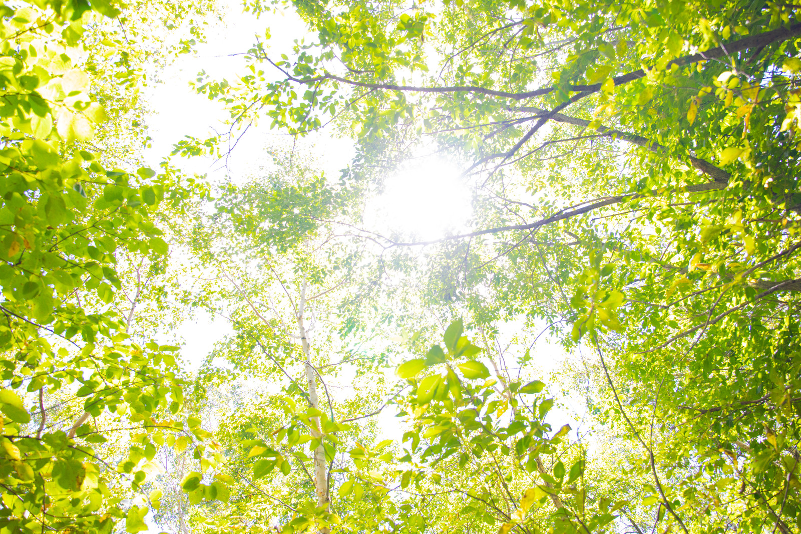 ５月のオススメアイテム Icolumn