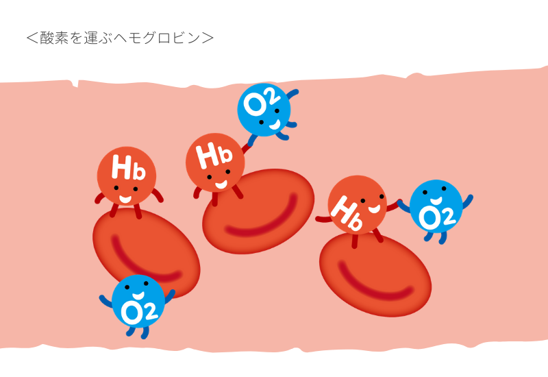 疲れが取れない やる気が出ない 不調の原因は 鉄分不足 かも Icolumn