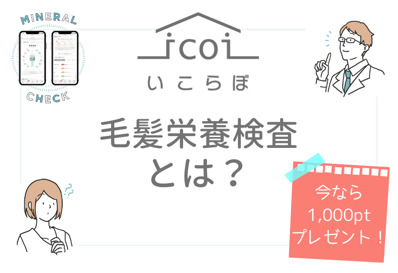 Icolumn Make Your Icoi Style Life